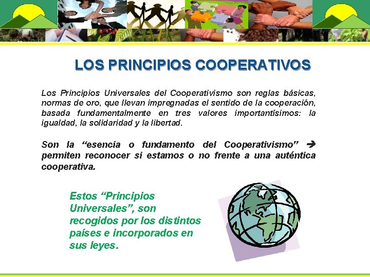  LOS PRINCIPIOS COOPERATIVOS Los Principios Universales del Cooperativismo son reglas básicas, normas de