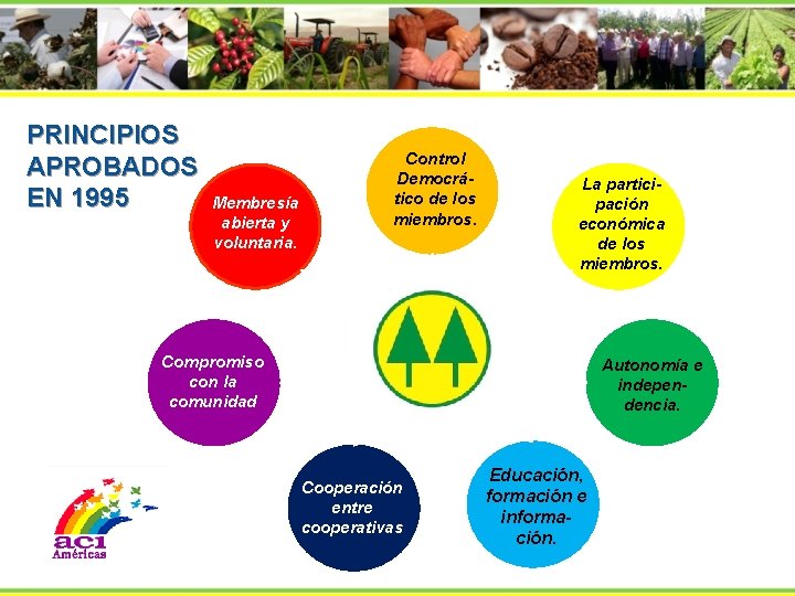 PRINCIPIOS APROBADOS EN 1995 Membresía abierta y voluntaria. Control Democrático de los miembros. La