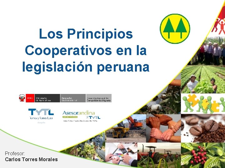 Los Principios Cooperativos en la legislación peruana Profesor: Carlos Torres Morales 
