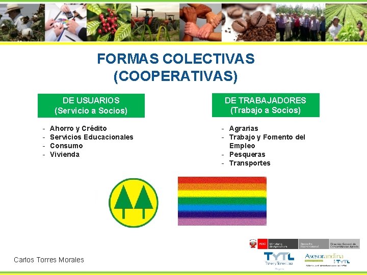 FORMAS COLECTIVAS (COOPERATIVAS) - DE USUARIOS (Servicio a Socios) DE TRABAJADORES (Trabajo a Socios)