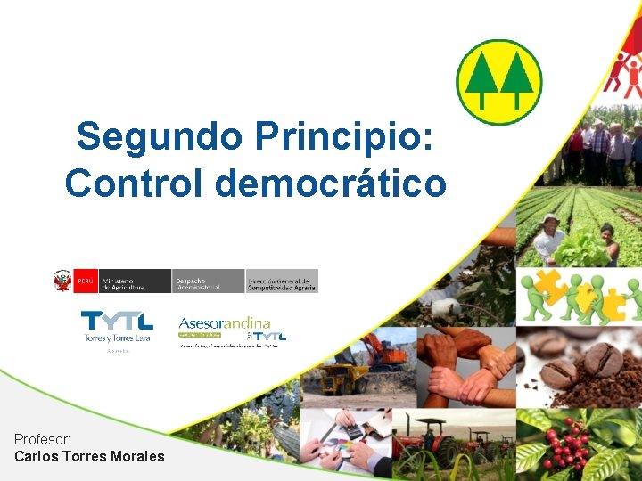 Segundo Principio: Control democrático Profesor: Carlos Torres Morales 