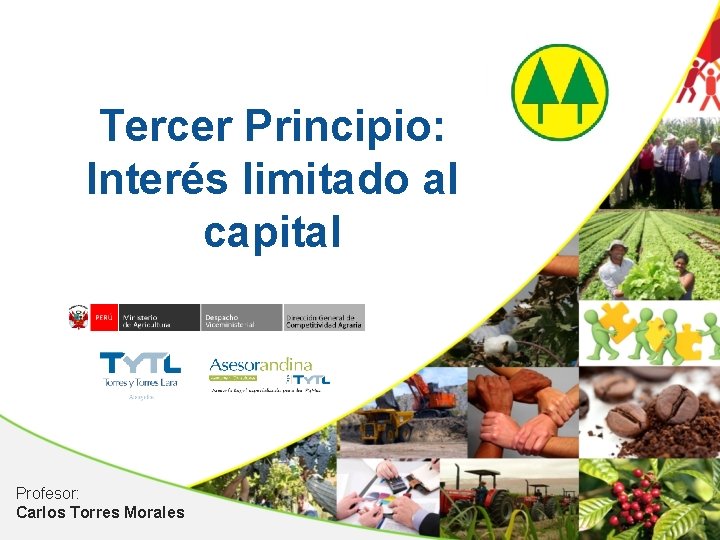 Tercer Principio: Interés limitado al capital Profesor: Carlos Torres Morales 