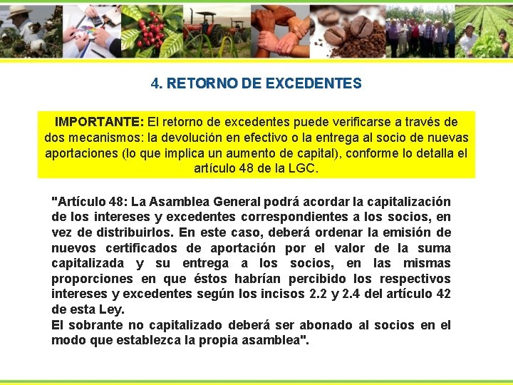 4. RETORNO DE EXCEDENTES IMPORTANTE: El retorno de excedentes puede verificarse a través de