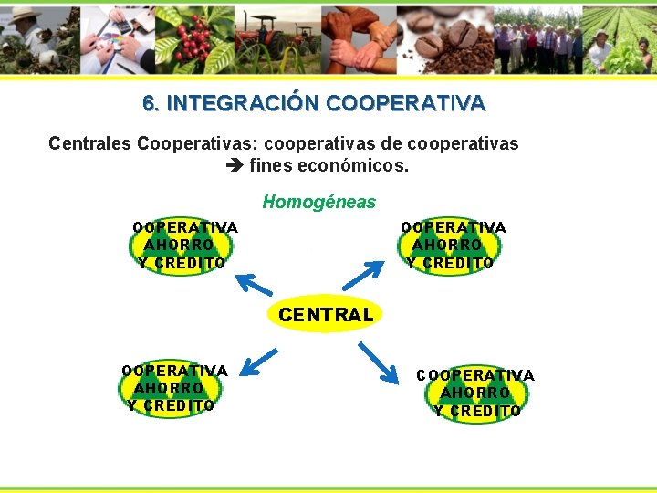 6. INTEGRACIÓN COOPERATIVA Centrales Cooperativas: cooperativas de cooperativas fines económicos. Homogéneas COOPERATIVA AHORRO Y