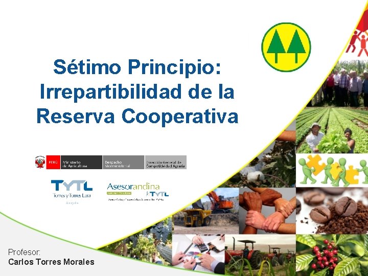 Sétimo Principio: Irrepartibilidad de la Reserva Cooperativa Profesor: Carlos Torres Morales 