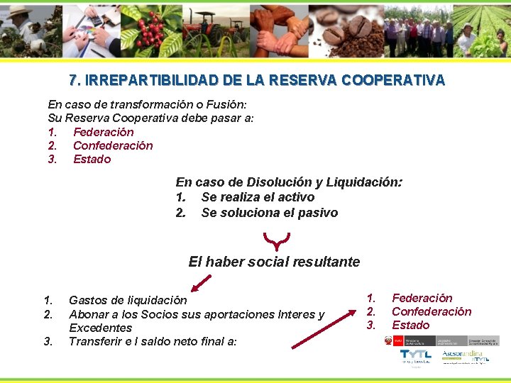 7. IRREPARTIBILIDAD DE LA RESERVA COOPERATIVA En caso de transformación o Fusión: Su Reserva