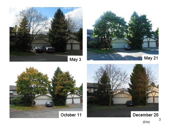 May 3 May 21 October 11 December 20 (Ellis) 3 May 3 May 21 October 11 December 20 (Ellis) 3