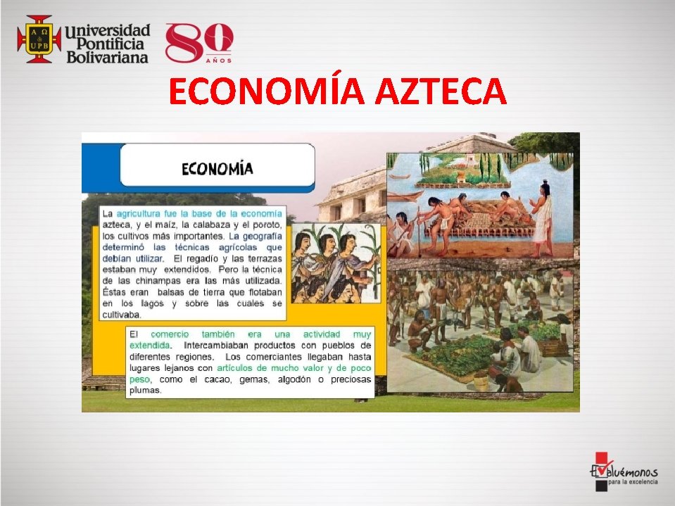 ECONOMÍA AZTECA 