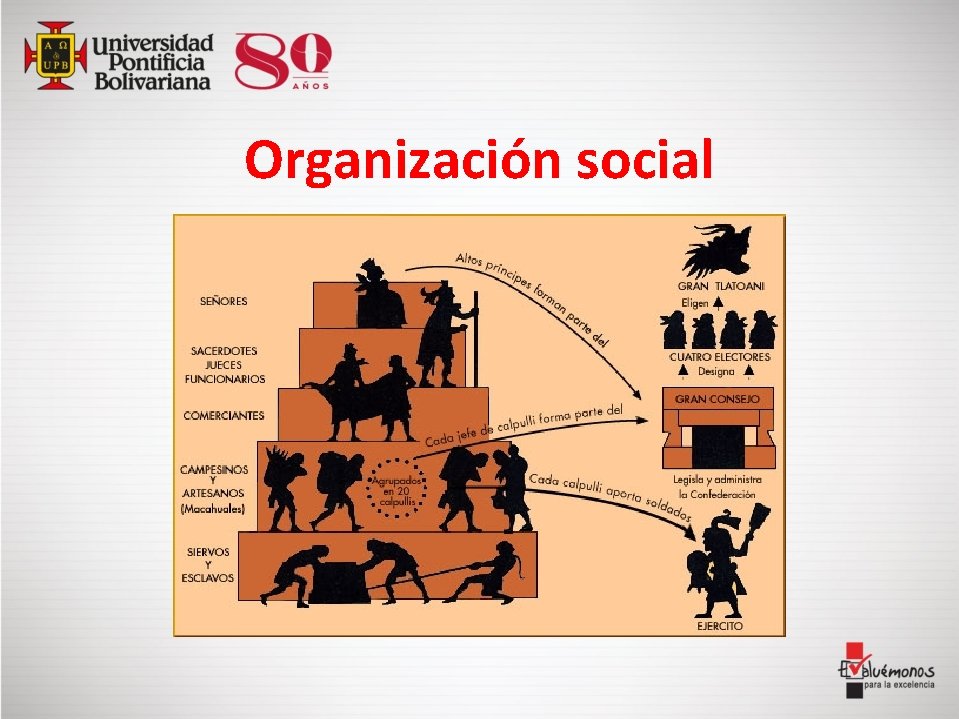Organización social 