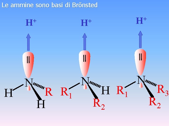 Le ammine sono basi di Brönsted H H+ H+ H+ N N N R
