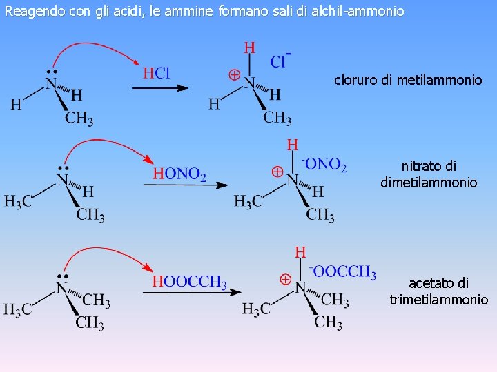 Reagendo con gli acidi, le ammine formano sali di alchil-ammonio cloruro di metilammonio nitrato