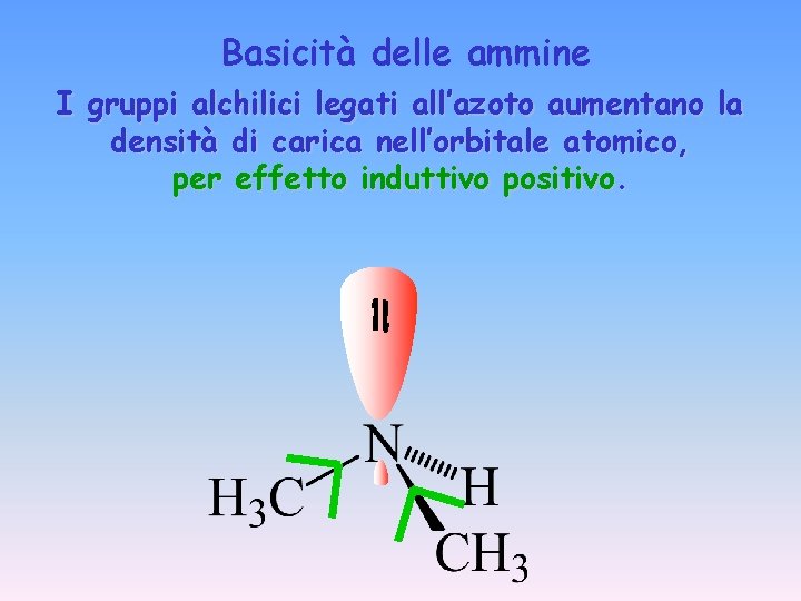 Basicità delle ammine I gruppi alchilici legati all’azoto aumentano la densità di carica nell’orbitale