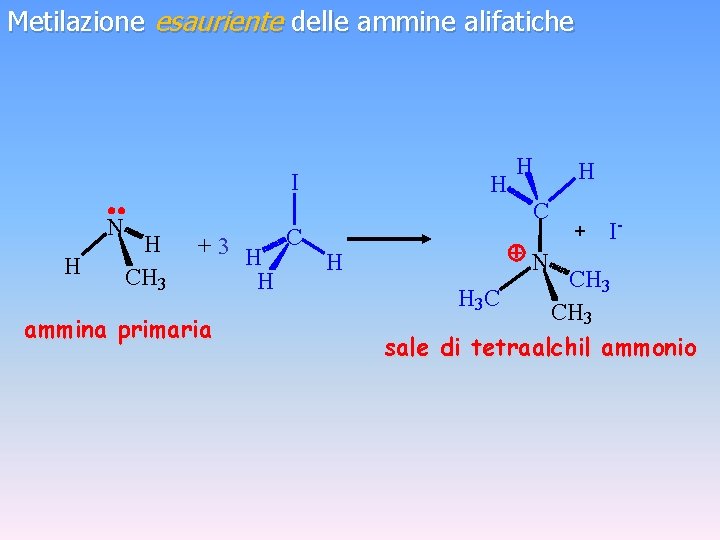 Metilazione esauriente delle ammine alifatiche I N H H CH 3 +3 H C