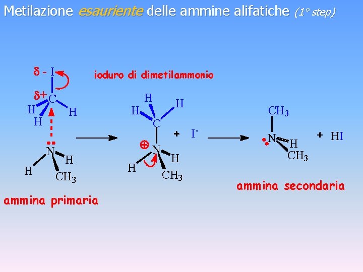 Metilazione esauriente delle ammine alifatiche (1° step) d-I ioduro di dimetilammonio d+ C H