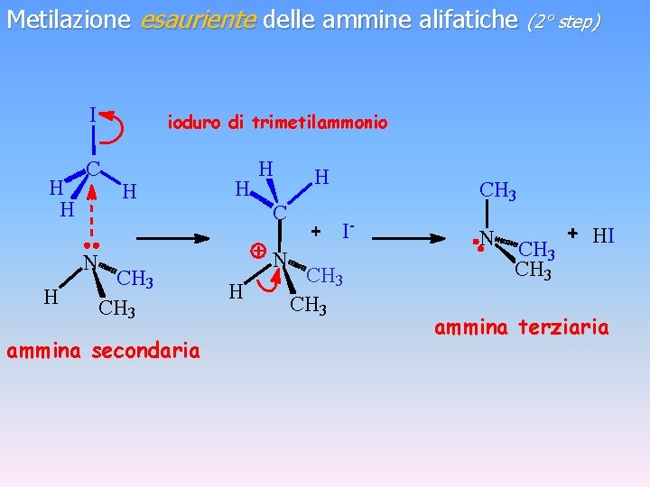Metilazione esauriente delle ammine alifatiche (2° step) I H H C N H ioduro