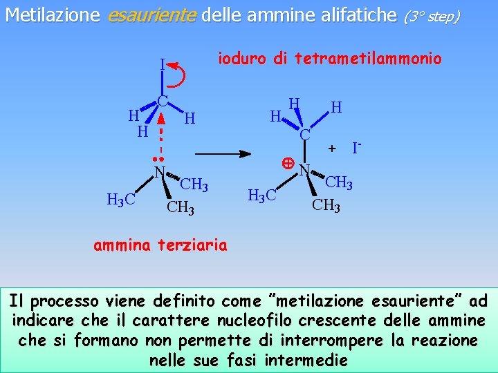 Metilazione esauriente delle ammine alifatiche (3° step) ioduro di tetrametilammonio I H H C