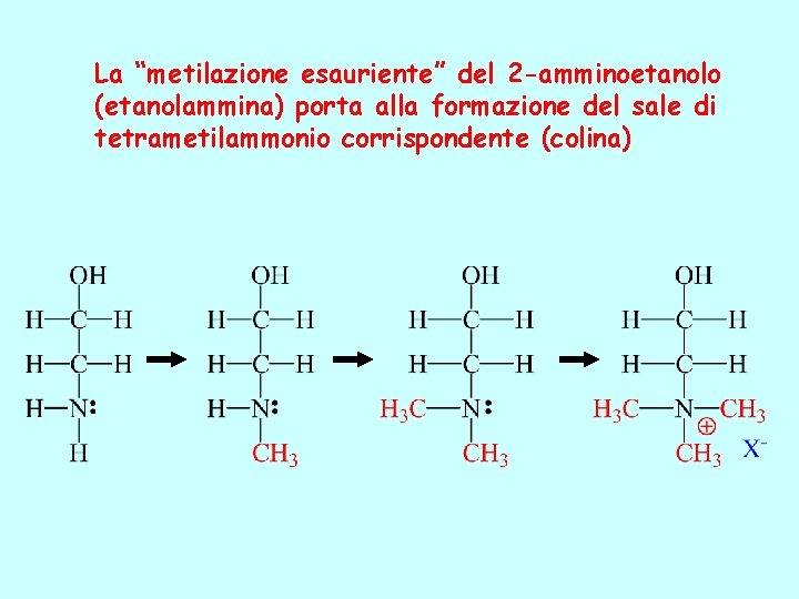 La “metilazione esauriente” del 2 -amminoetanolo (etanolammina) porta alla formazione del sale di tetrametilammonio