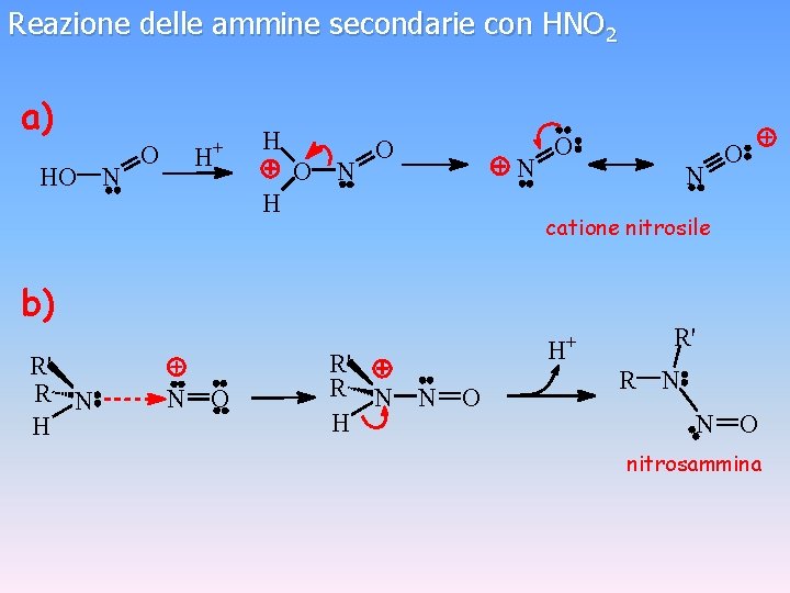 Reazione delle ammine secondarie con HNO 2 a) HO N O H+ H O
