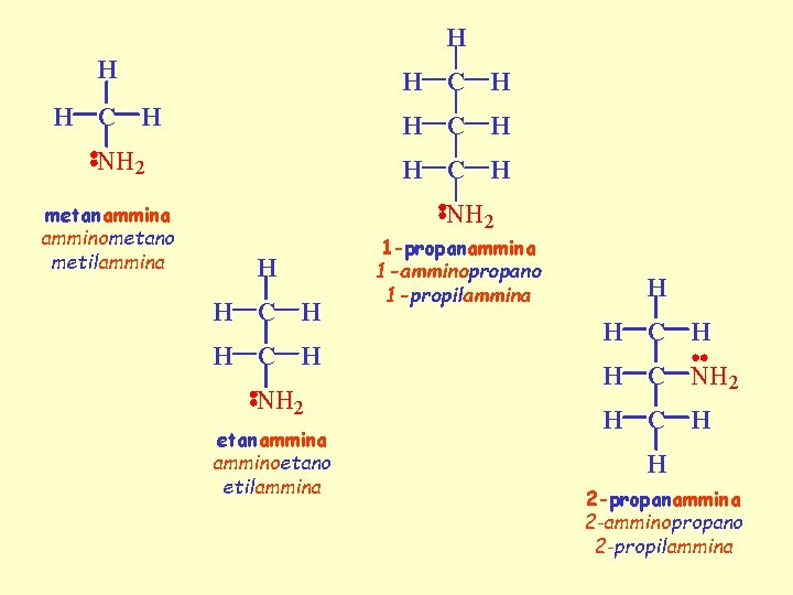H H H C H NH 2 metanammina amminometano metilammina H C H NH