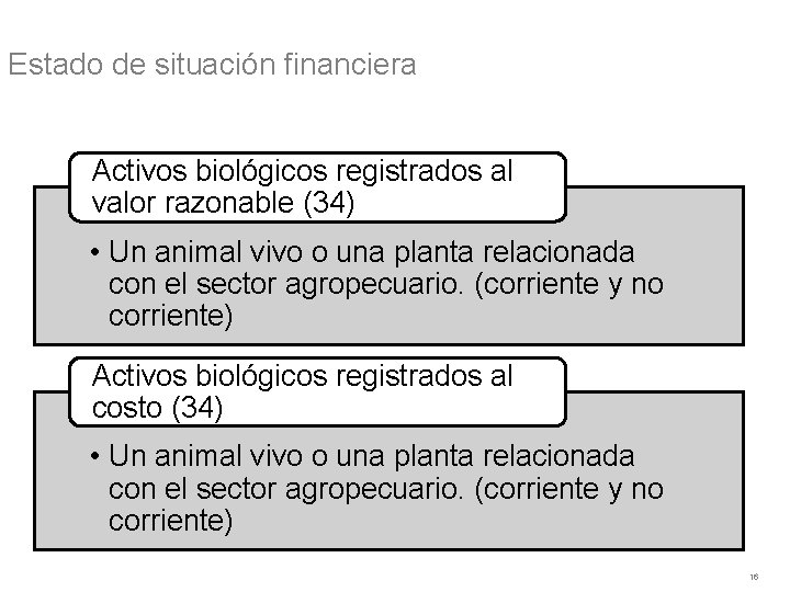 Estado de situación financiera Activos biológicos registrados al valor razonable (34) • Un animal