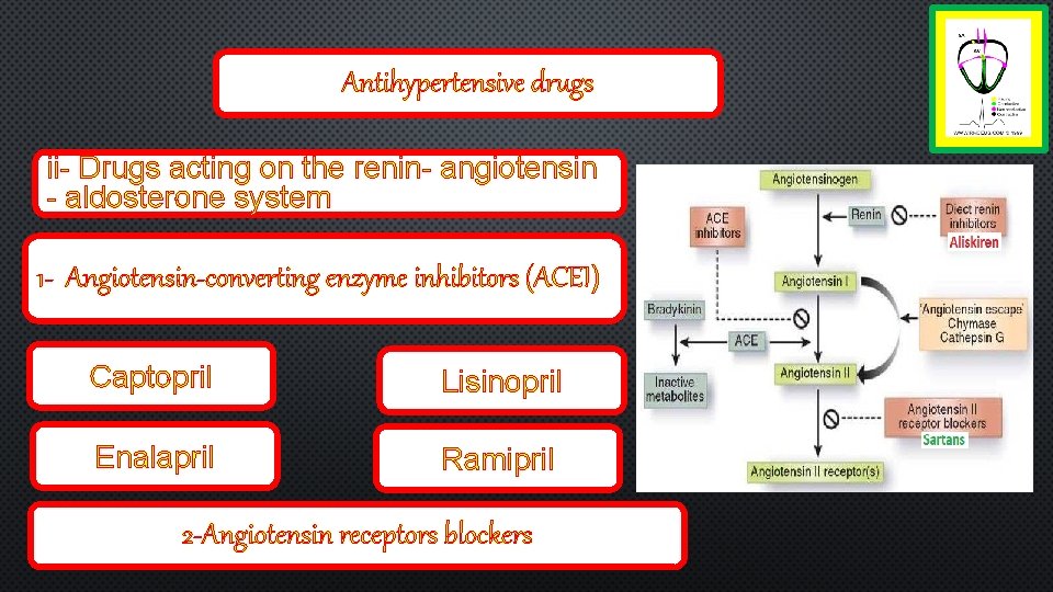 Antihypertensive drugs ii- Drugs acting on the renin- angiotensin - aldosterone system 1 -