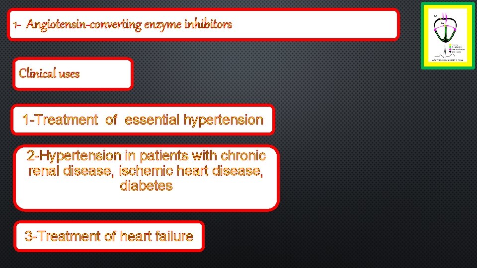 1 - Angiotensin-converting enzyme inhibitors Clinical uses 1 -Treatment of essential hypertension 2 -Hypertension