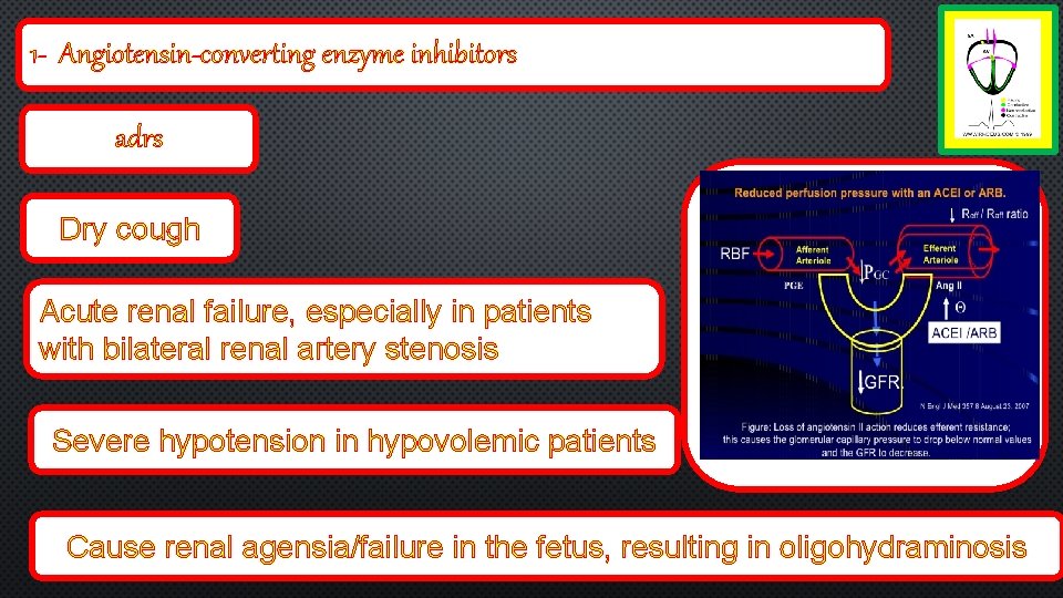 1 - Angiotensin-converting enzyme inhibitors adrs Dry cough Acute renal failure, especially in patients