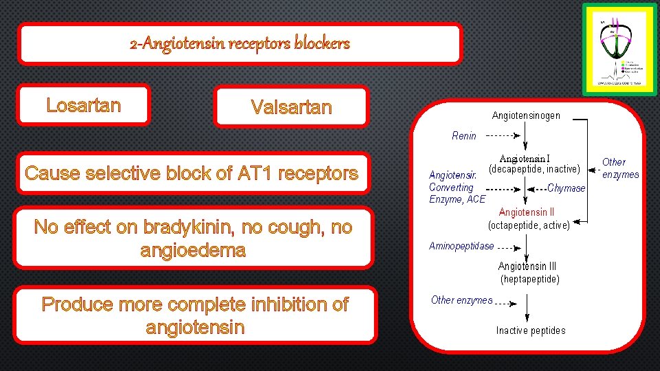 2 -Angiotensin receptors blockers Losartan Valsartan Cause selective block of AT 1 receptors No