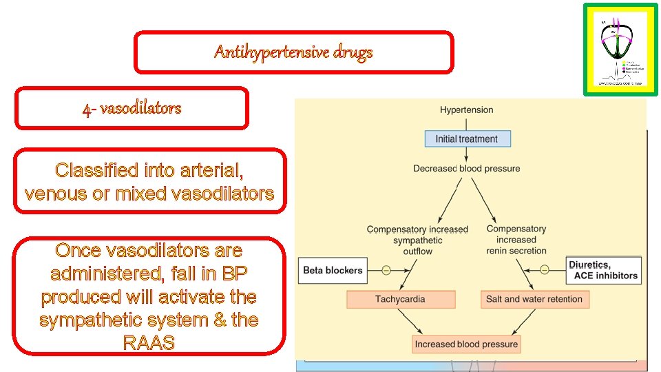 Antihypertensive drugs 4 - vasodilators Classified into arterial, venous or mixed vasodilators Once vasodilators