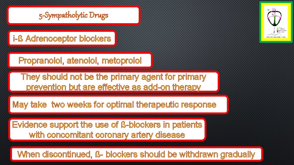 5 -Sympatholytic Drugs i-ß Adrenoceptor blockers Propranolol, atenolol, metoprolol They should not be the