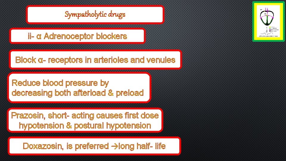 Sympatholytic drugs ii- α Adrenoceptor blockers Block α- receptors in arterioles and venules Reduce