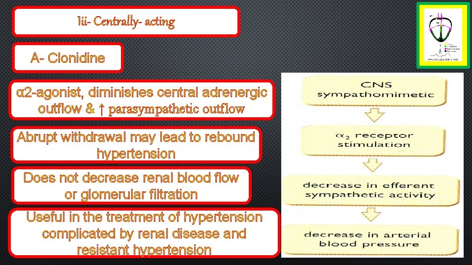 Iii- Centrally- acting A- Clonidine α 2 -agonist, diminishes central adrenergic outflow & ↑