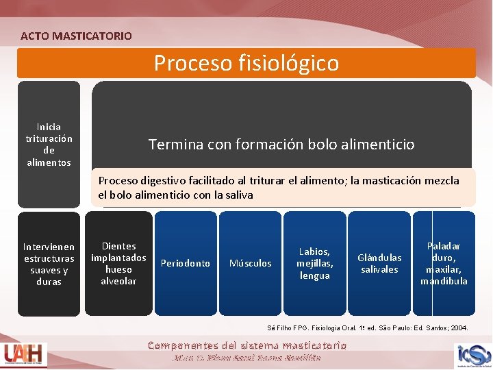 ACTO MASTICATORIO Proceso fisiológico Inicia trituración de alimentos Termina con formación bolo alimenticio Proceso