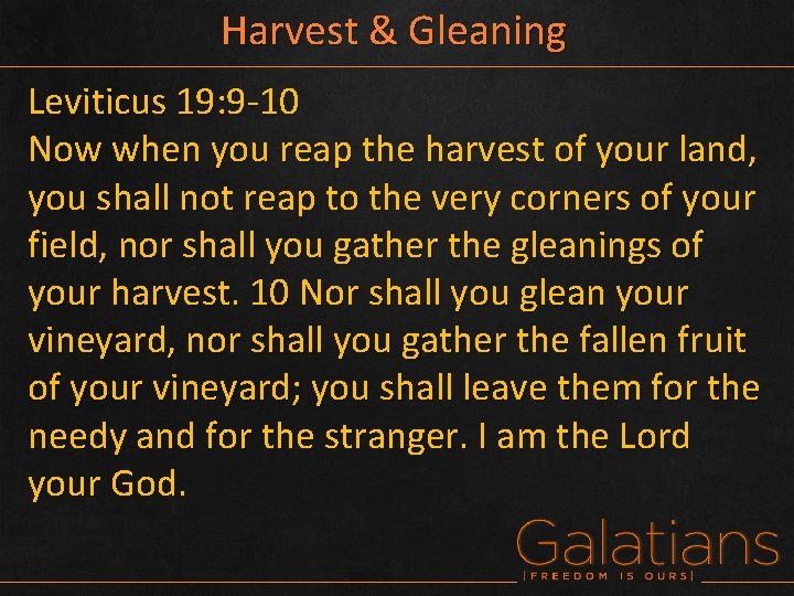 Harvest & Gleaning Leviticus 19: 9 -10 Now when you reap the harvest of