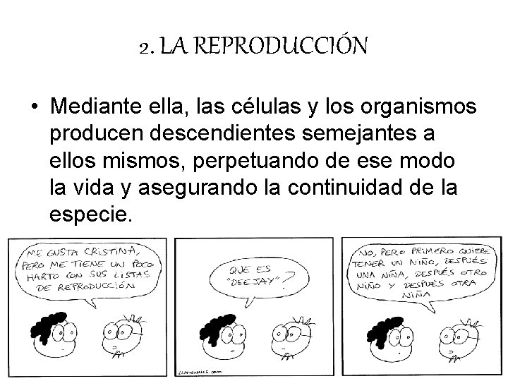 2. LA REPRODUCCIÓN • Mediante ella, las células y los organismos producen descendientes semejantes 2. LA REPRODUCCIÓN • Mediante ella, las células y los organismos producen descendientes semejantes