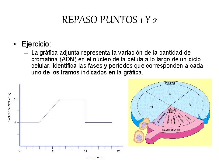 REPASO PUNTOS 1 Y 2 • Ejercicio: – La gráfica adjunta representa la variación REPASO PUNTOS 1 Y 2 • Ejercicio: – La gráfica adjunta representa la variación