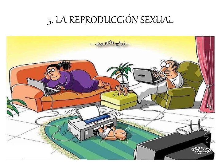 5. LA REPRODUCCIÓN SEXUAL 5. LA REPRODUCCIÓN SEXUAL