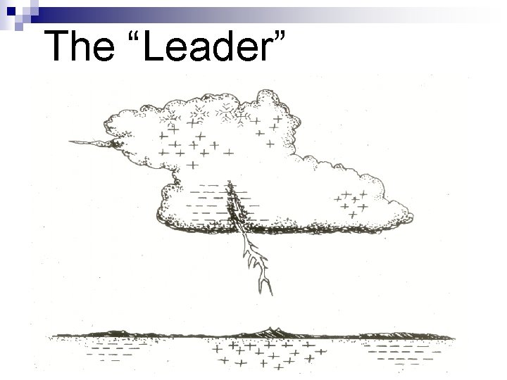 The “Leader” 