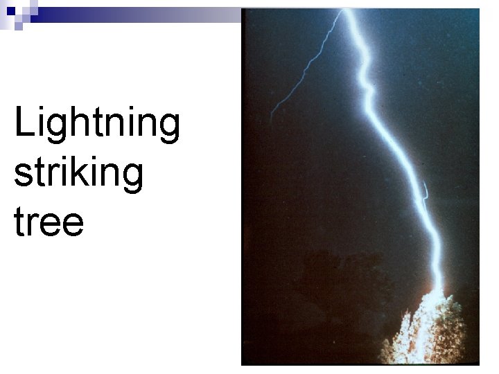 Lightning striking tree 