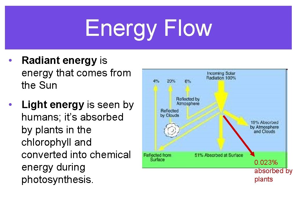 Energy Flow • Radiant energy is energy that comes from the Sun • Light