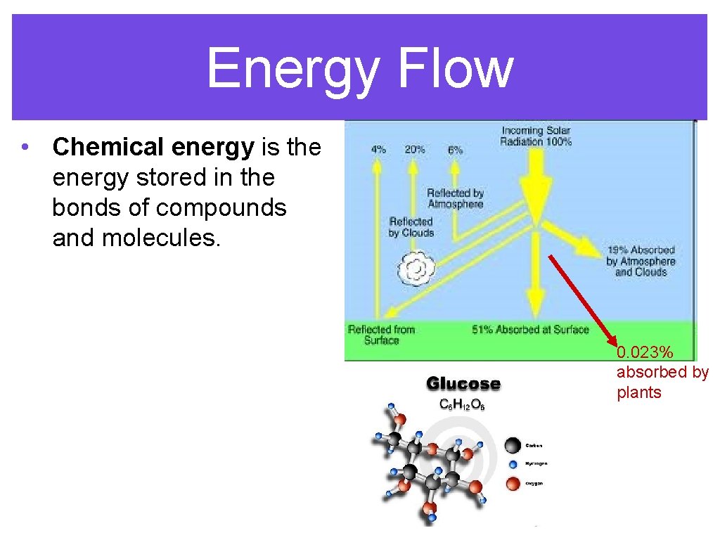 Energy Flow • Chemical energy is the energy stored in the bonds of compounds