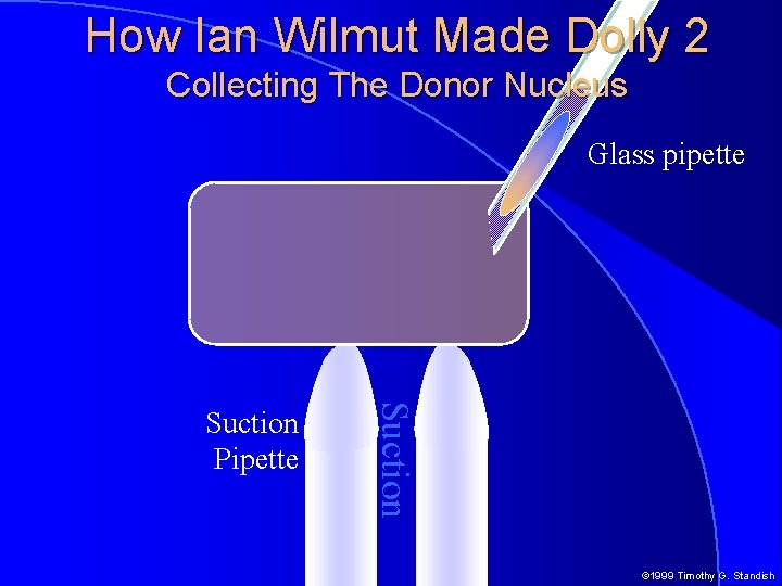 How Ian Wilmut Made Dolly 2 Collecting The Donor Nucleus Glass pipette Suction Pipette