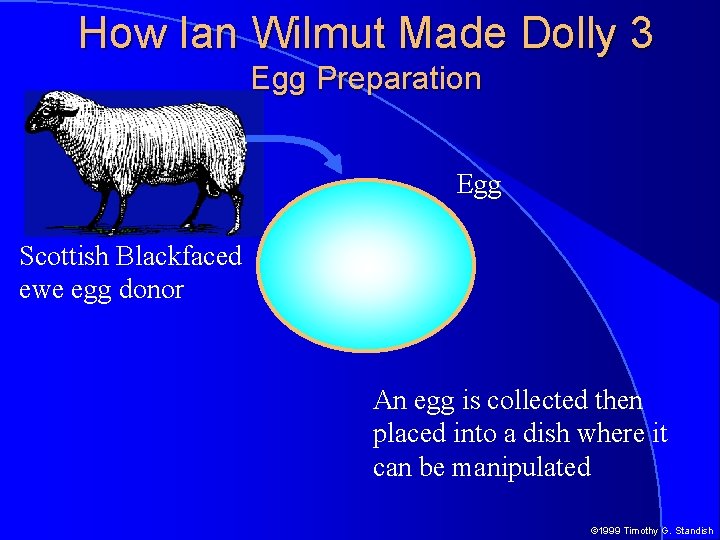 How Ian Wilmut Made Dolly 3 Egg Preparation Egg Scottish Blackfaced ewe egg donor