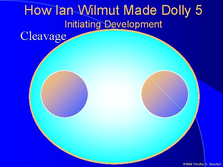 How Ian Wilmut Made Dolly 5 Initiating Development Cleavage © 1999 Timothy G. Standish