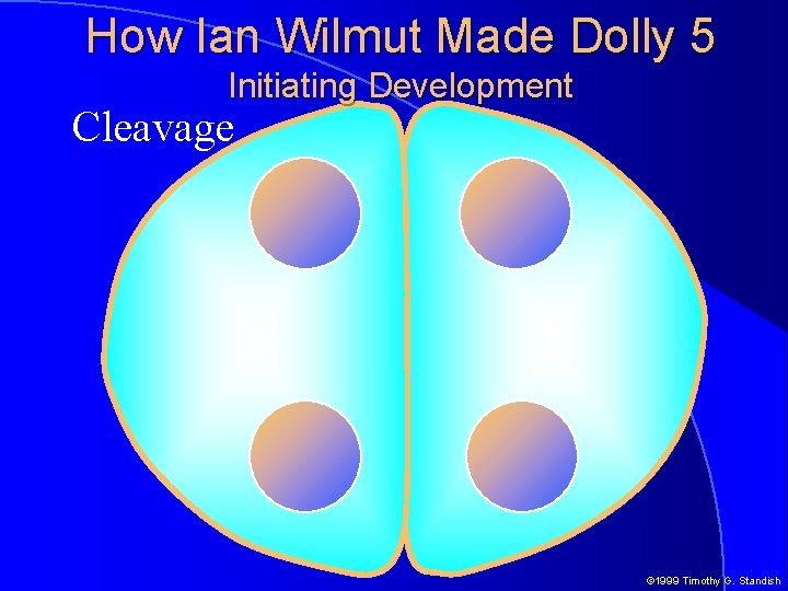 How Ian Wilmut Made Dolly 5 Initiating Development Cleavage © 1999 Timothy G. Standish