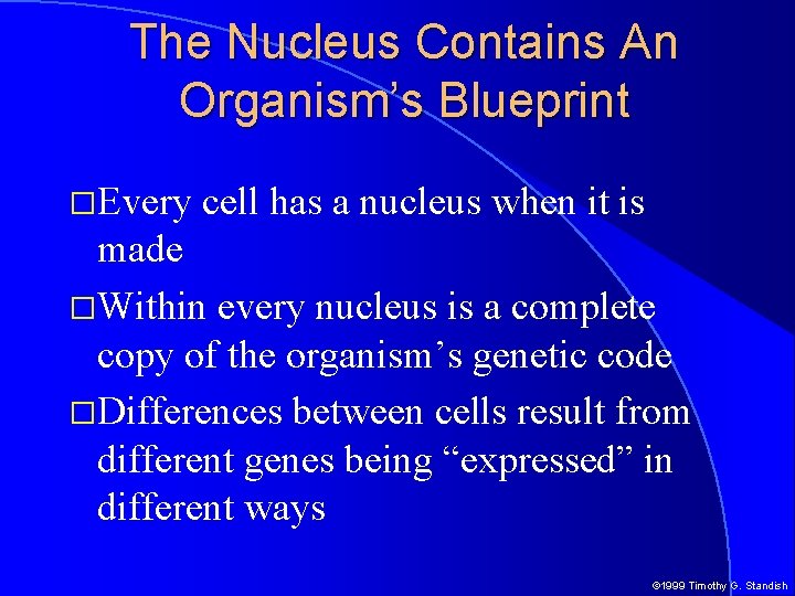 The Nucleus Contains An Organism’s Blueprint �Every cell has a nucleus when it is