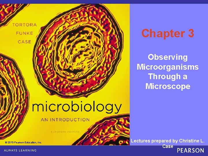Chapter 3 Observing Microorganisms Through a Microscope © 2013 Pearson Education, Inc. Copyright ©