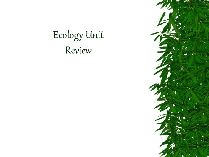 Ecology Unit Review 