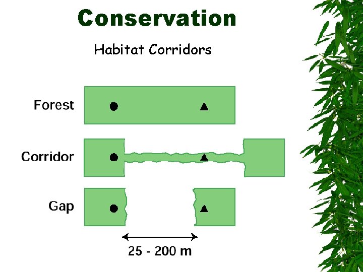 Conservation Habitat Corridors 