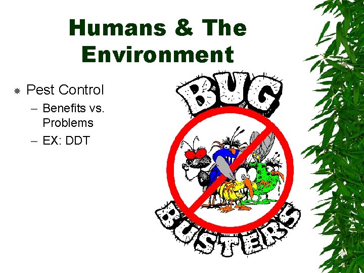 Humans & The Environment Pest Control – Benefits vs. Problems – EX: DDT 